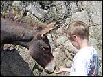 Randonnée en Corse avec un âne