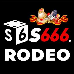 avatar de s666rodeo