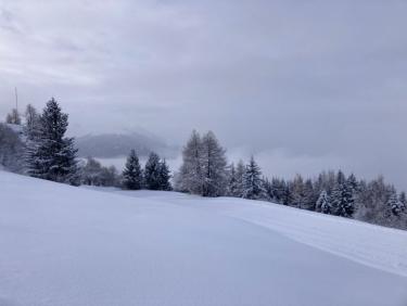 Balade pendant l’éclaircie 😍