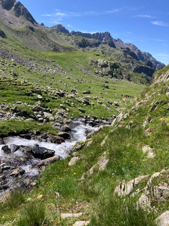 4 cols : Sitre, Loup, Pra et Freydane