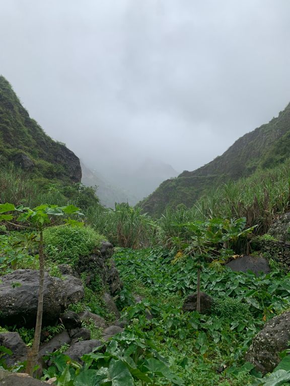 Vallée de Paul - Casa das Ilhas