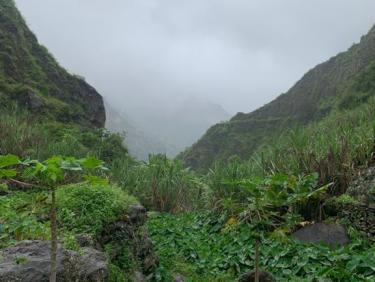 Vallée de Paul - Casa das Ilhas