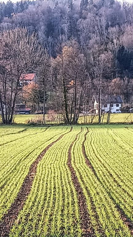 Marche dans la plaine avec Monique