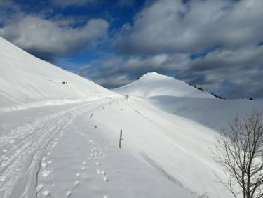 Ski de randonnée au Charmant Som pour profiter de la poudreuse tombée la nuit dernière 🤩