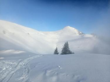 Ski de randonnée au Charmant Som depuis le Pont des Cottaves... pour profiter de la dernière chute de neige fraîche.... miam miam la poudreuse 🤩