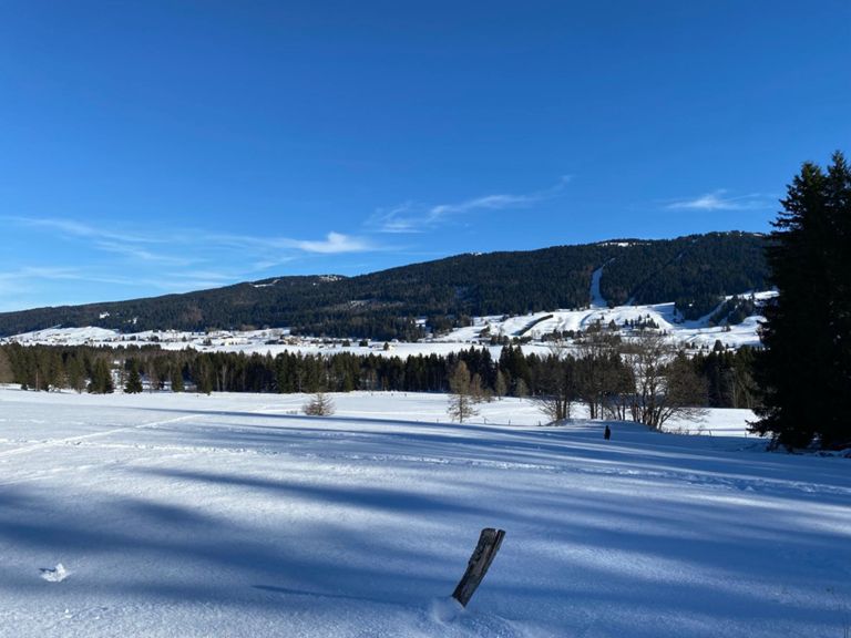 Marche dans l'après-midi