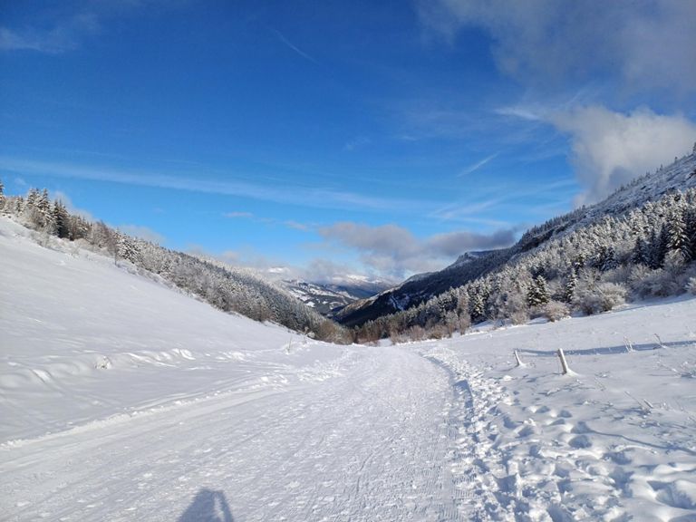 Ski de fond aux Allieres