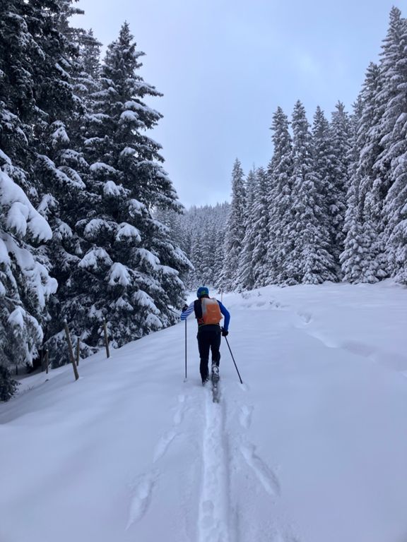 Trail dans l'après-midi