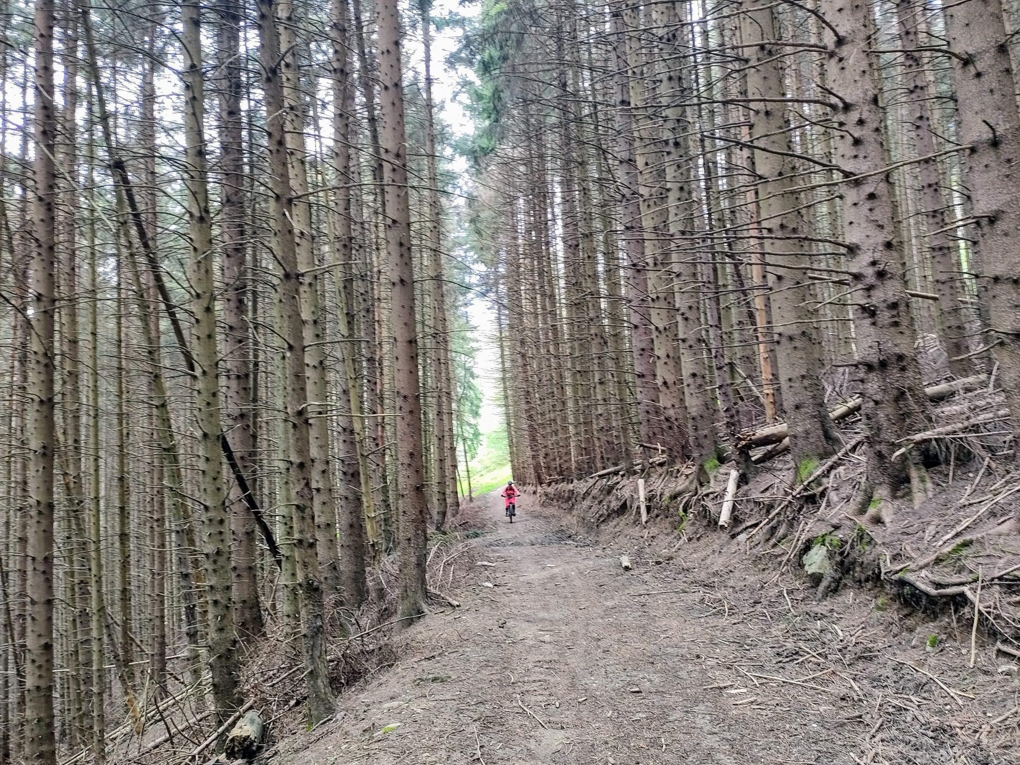 Boucle vtt depuis Goncelin 