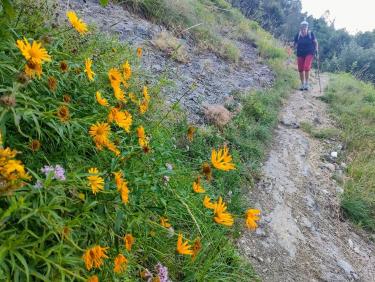 Changement de massif 