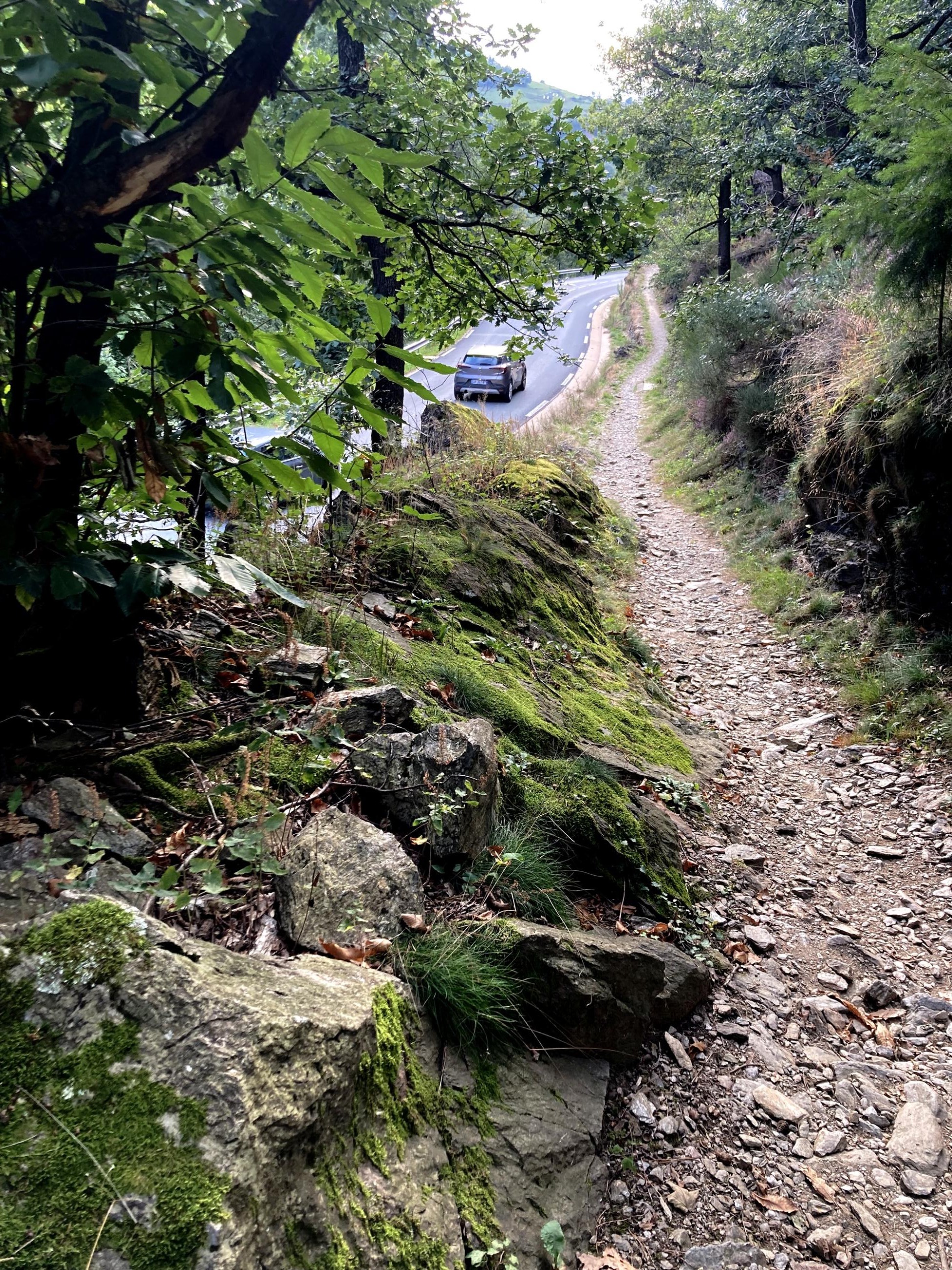 Le chemin parallèle à la route