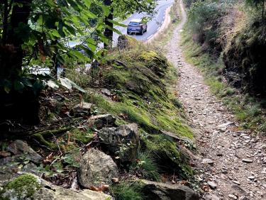 Le chemin parallèle à la route