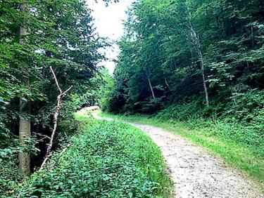 chemin rive gauche