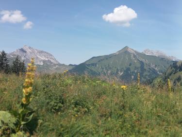 Le Col de la Fougère par le Pré du Seigle