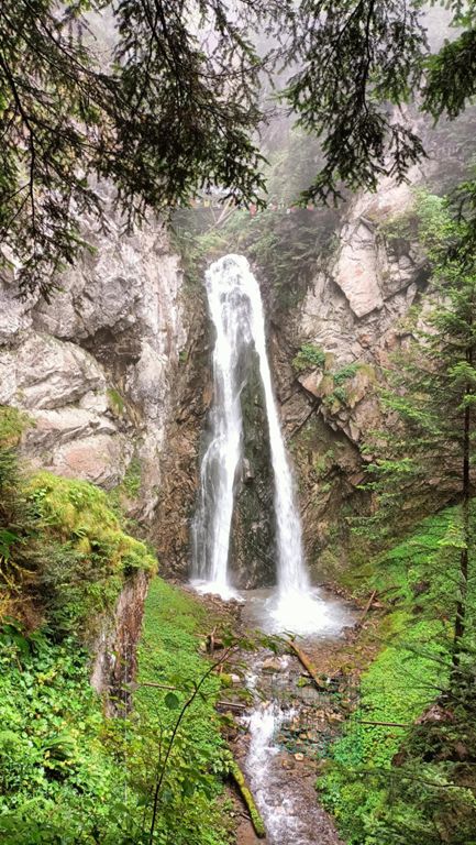 Pyrénées J-1