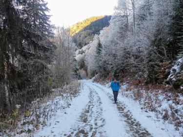 Dans la douce vallée de la Roizonne 