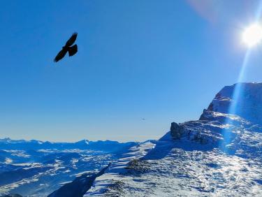 Dernière sortie de ski de l&apos;année 