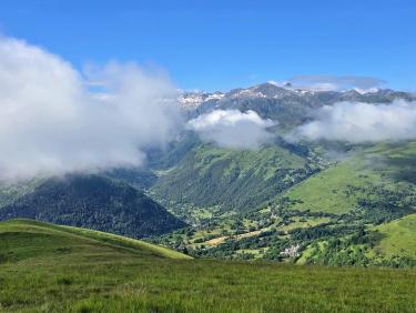 Des sauterelles voraces 