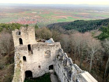 Du donjon, vue sur Dambach, la plaine d&apos;Alsace et la Forêt Noire