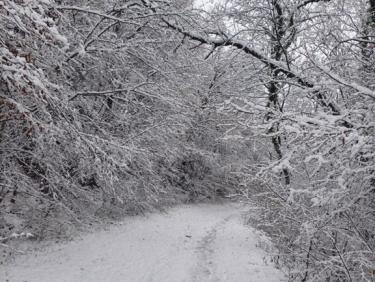 Balade sous la neige ❄️🌨️😀