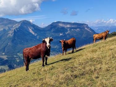 Échec sur la butte…