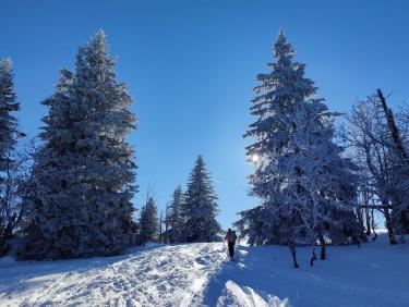 Enfin de la bonne neige ! 