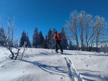 Enfin de la bonne neige ! 