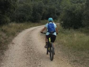 Belle boucle dans les Alpilles depuis Eygalieres