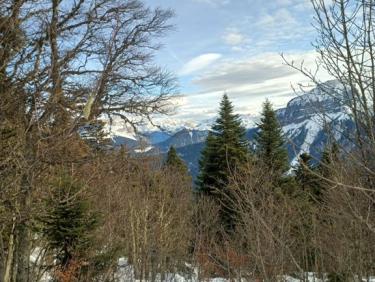 Ski de randonnée , une dernière avant le mauvais temps...Canaple depuis le Col de Porte