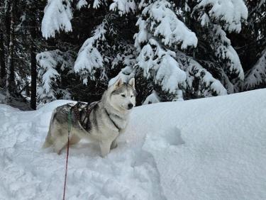 SKIMO 1: Ouverture de la saison