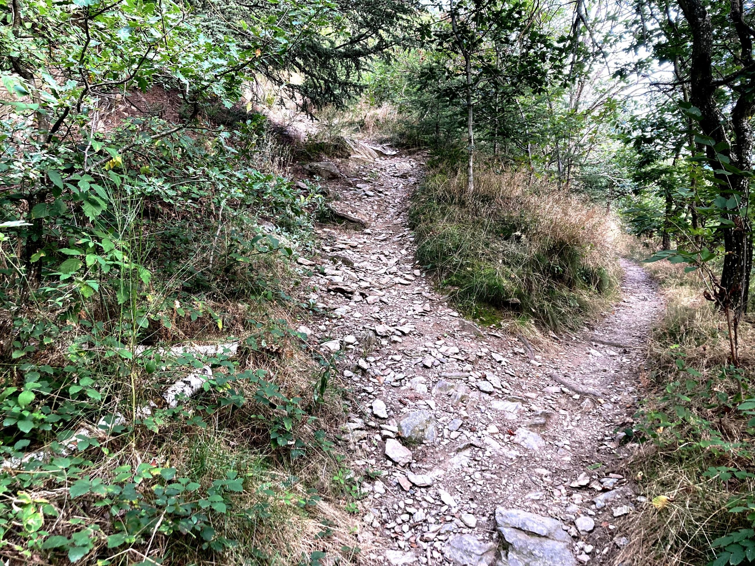 A gauche, sentier de remontée sur la crête