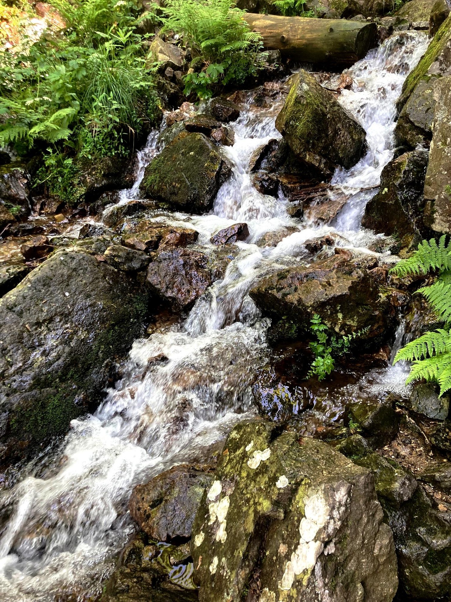 Le Gier après son saut