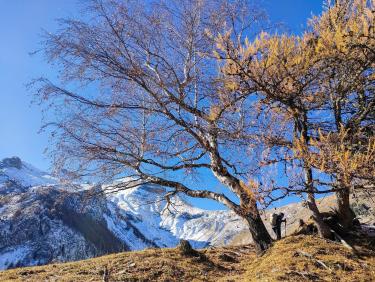 Glaciale matinée 