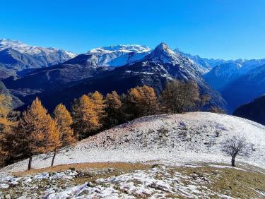 Glaciale matinée 