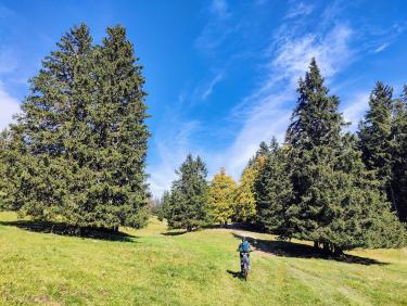 Grand tour par grand vent 