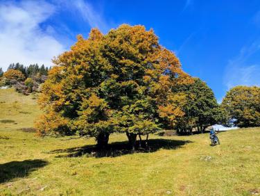 Grand tour par grand vent 