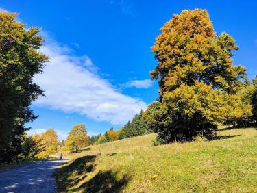 Grand tour par grand vent 