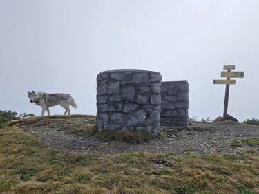 Rando: haut du telecabine du Prarion - sommet du Prarion et descente