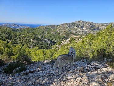 RUN 71: Aprés un grand cuop de pied au cul run dans les calanques