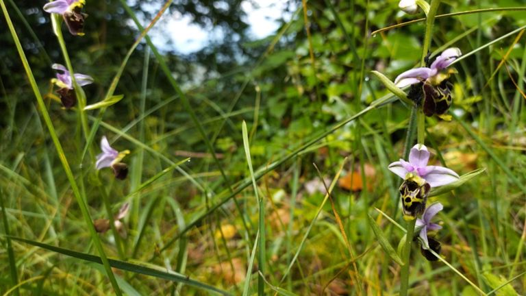 Première montée, de l'atterro officiel jusqu'au déco Nord du Sapenay