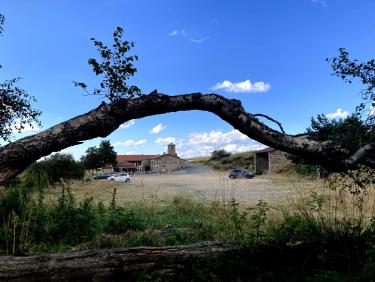 La Jasserie, rebelote (Crêt de la Perdrix)