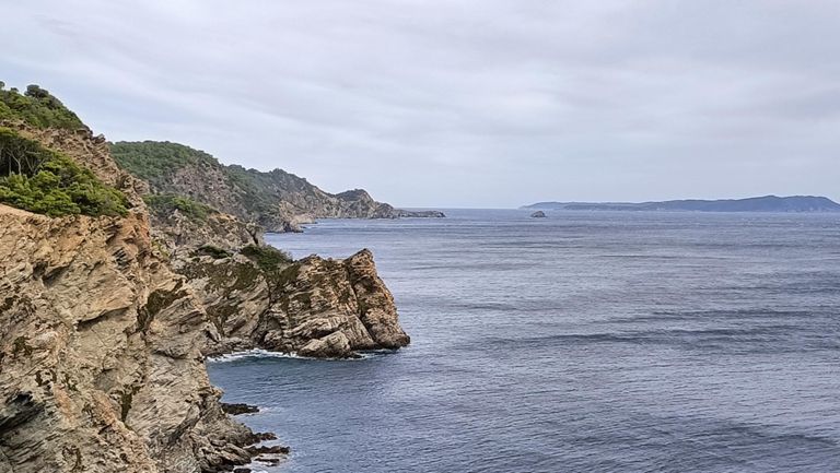 Balade à Porquerolles