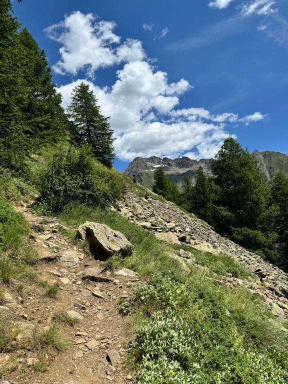 Saint-Étienne-de-Tinée - Mont Ténibre (3031m) ⛰