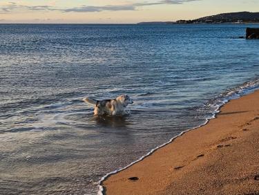 Bord de mer à Frejus