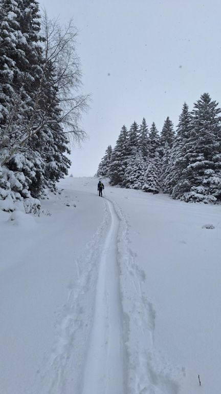 Ski de randonnée avec papa