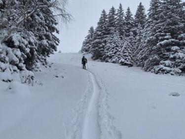 Ski de randonnée avec papa