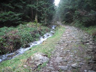 La voie dallÃ©e et le ruisseau du Dorlay