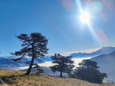 Nuages de Claude Debussy