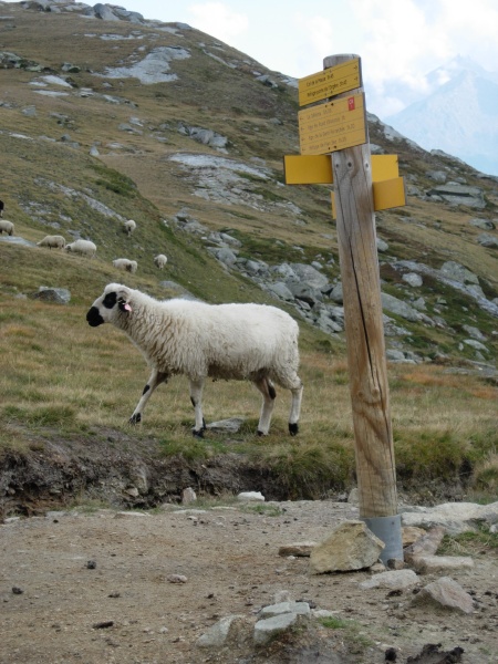 Panneau signalant la jonction avec GR5