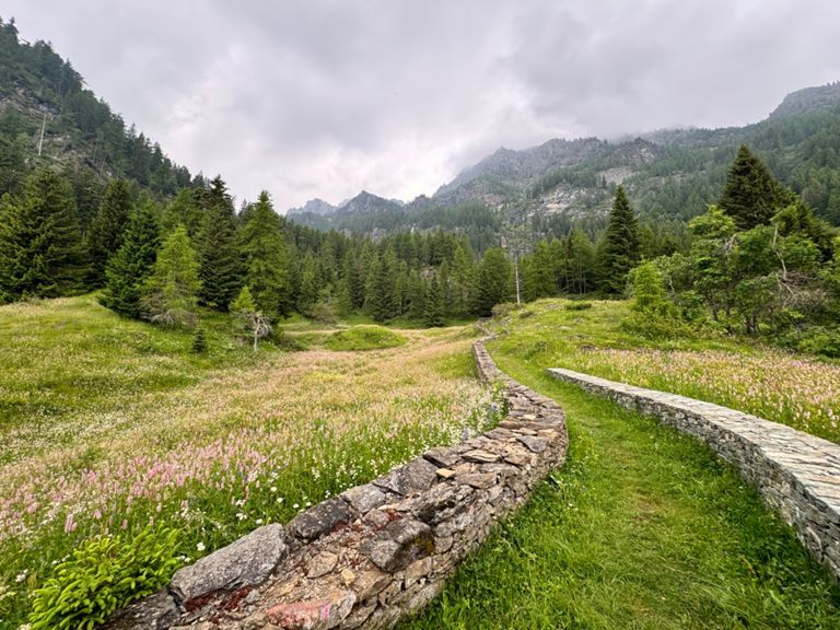 Alta Via 2 - Vallée d’Aoste 🇮🇹 : Champorcher à Refuge de Miserin